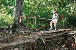 BIB: 
                            <button type="button" onclick="openModal(27553374)" class="btn btn-primary btn-sm float-right btn-popup" data-toggle="modal" data-target=".modal-high-quality">
                        <i class="fas fa-shopping-cart"></i> Add to Cart
                    </button>
                                            <button type="button" onclick="isThisMe(27553374, true)" class="btn btn-success btn-sm float-right btn-popup btn-isme hidden" data-toggle="tooltip" data-placement="bottom" title="นี่คือรูปของคุณใช่ไหม คลิกที่นี่เพื่อเอาเข้าอัลบั้ม">
                        <i class="fas fa-plus"></i> Add to album
                    </button>
                    <button type="button" onclick="isThisMe(27553374, false)" class="btn btn-warning btn-sm float-right btn-popup btn-isnotme hidden">
                        <i class="fas fa-ban"></i> Remove from album
                    </button>